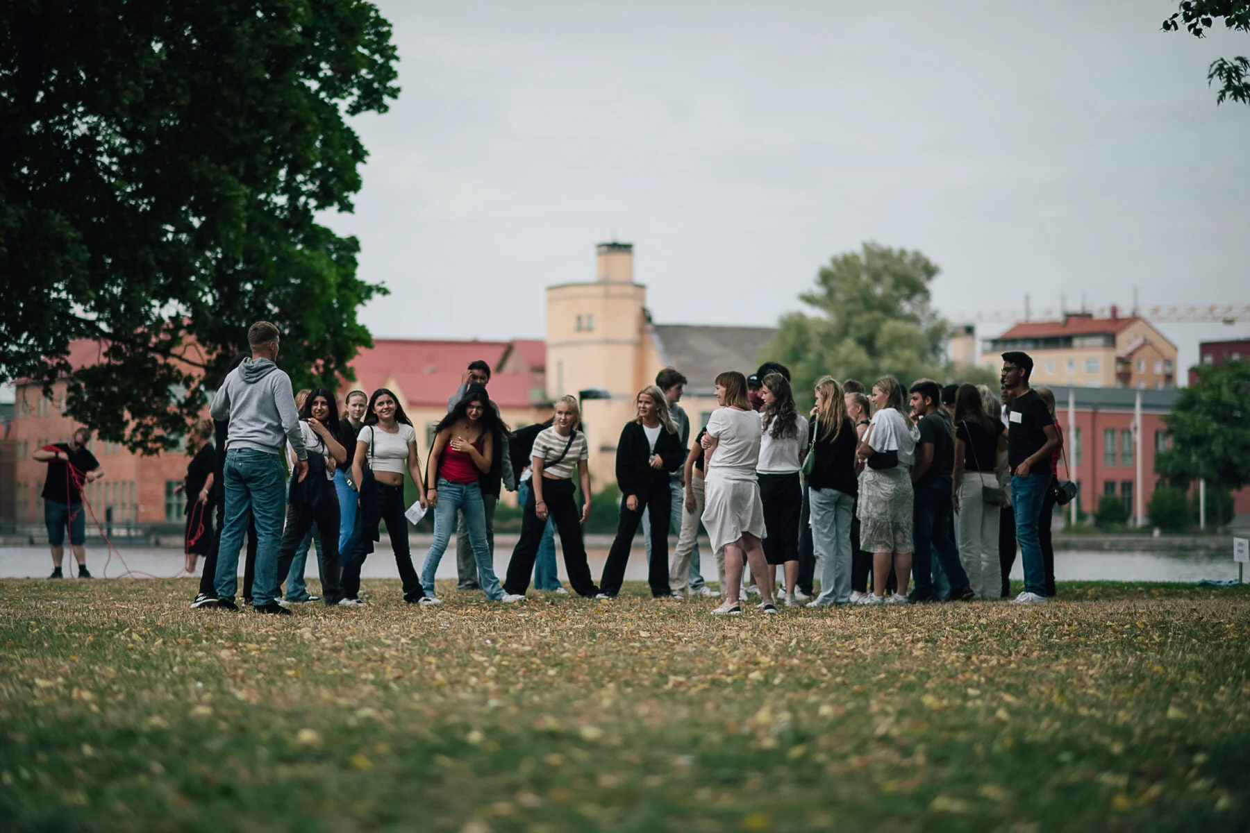 Så söker du introduktionsprogrammet