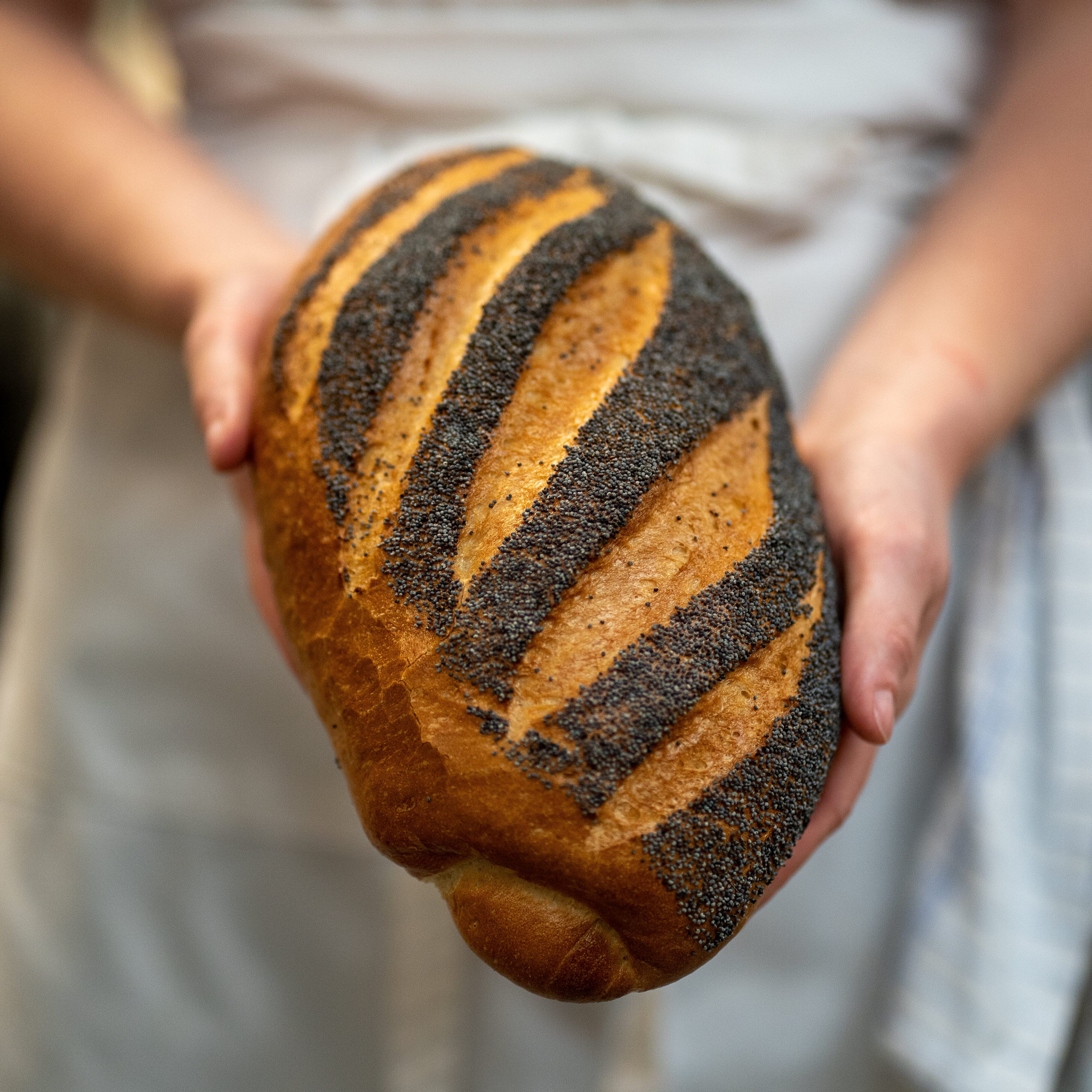 Elev i bagarkläder håller ett nybakat bröd med vallmofrön.